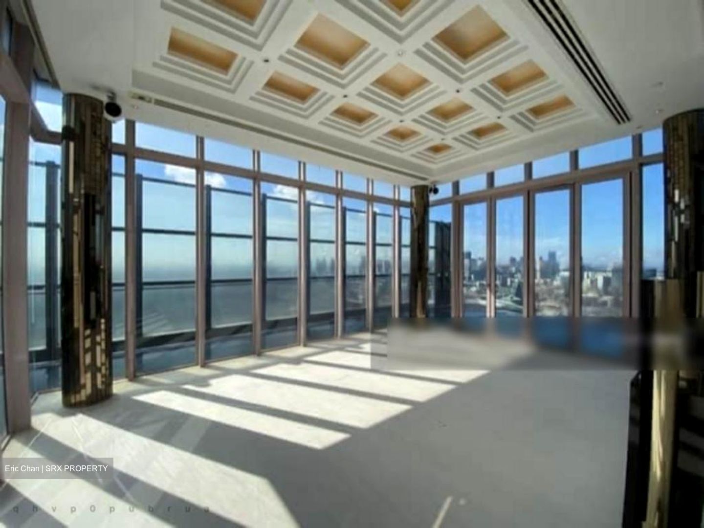 The Ritz-Carlton  (D9), Condominium #455333331